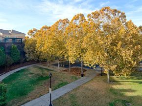 1310 Saddle Rack Street 438, San Jose CA 95126