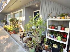 Bay, Santa Cruz CA 95060