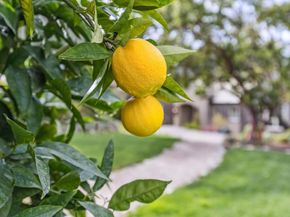 90 Reservoir Road, Los Gatos CA 95030