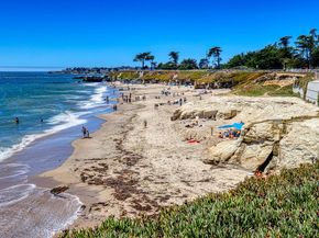 260 High Street 206, Santa Cruz CA 95060