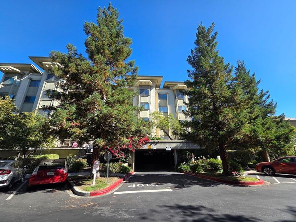 3715 Terstena Place 202, Santa Clara CA 95051