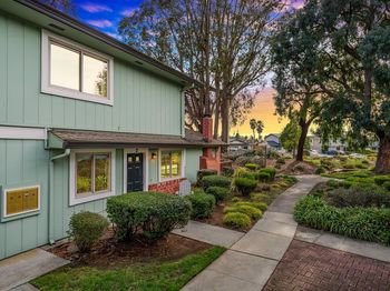 1133 Callas Lane