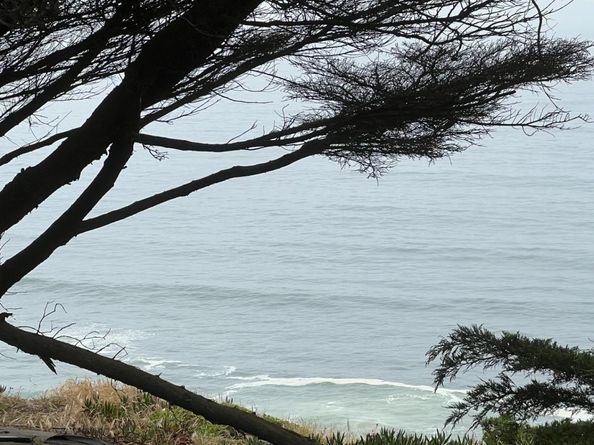 1121 Skyline Drive, Daly City CA 94015