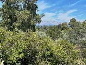 18211 Saratoga Los Gatos Road, Monte Sereno CA 95030