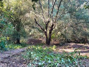 18211 Saratoga Los Gatos Road, Monte Sereno CA 95030