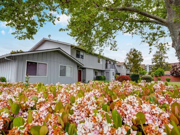 1111 Reed Avenue C, Sunnyvale CA 94086