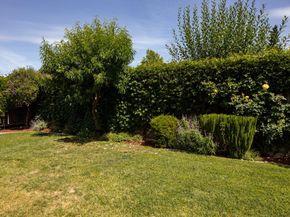 2349 Carol Avenue, Mountain View CA 94040
