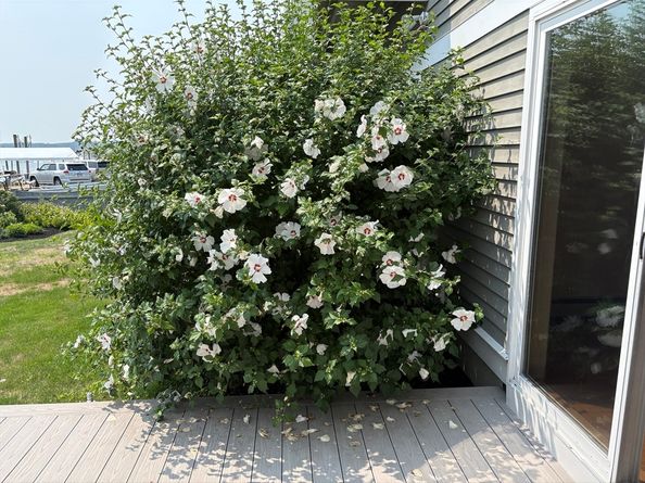 69 East Main 1, Gloucester MA 01930