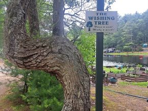 19 Mashapaug Rd C29, Sturbridge MA 01566