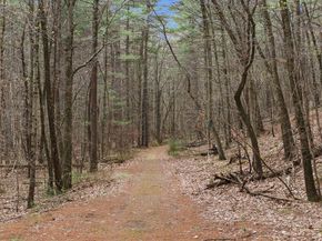 6 Trail Ridge Way D, Harvard MA 01451
