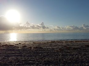 1501 Arthur St 10, Hollywood FL 33020