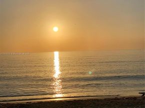 1501 Arthur St 10, Hollywood FL 33020