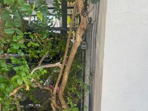 7801 NE 4th Ct 516, Miami FL 33138