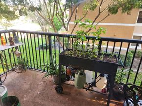 8761 Wiles Rd 206, Coral Springs FL 33067