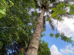 8355 NW 32nd Ave, Miami FL 33147