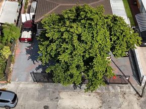 825 E 9th Ln, Hialeah FL 33010