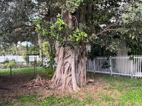 1129 NW 105th St, Miami FL 33150