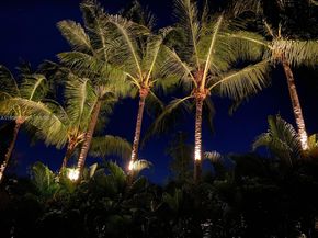 990 NE 72nd Ter, Miami FL 33138