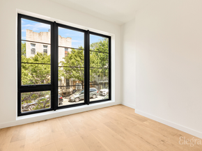 216 20th Street 2, Brooklyn NY 11232-1341
