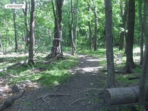 460 West 236th Street 4B, Bronx NY 10463