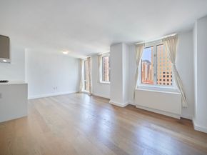 225 Rector Place 22A, New York NY 10280