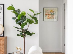 2500 E Cherry Creek South Drive 217, Denver CO 80209