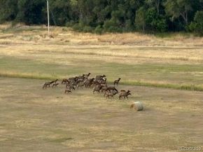 9962 W Victoria Place 106, Littleton CO 80127