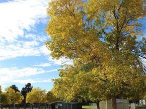 1291 S Wheeling Way, Aurora CO 80012