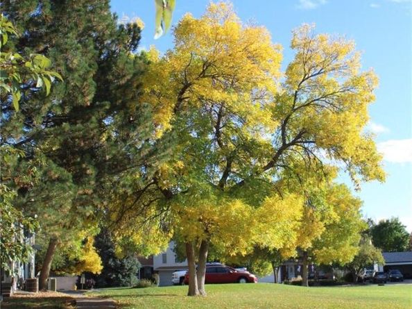 1291 S Wheeling Way, Aurora CO 80012