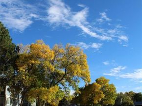 1291 S Wheeling Way, Aurora CO 80012