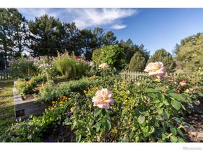 8726 Crimson Clover Lane, Longmont CO 80503