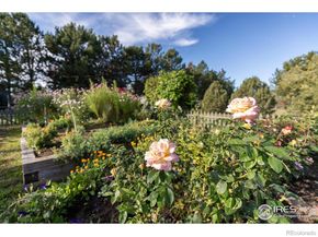 8726 Crimson Clover Lane, Longmont CO 80503