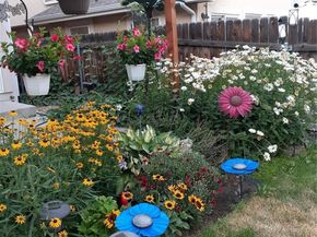 5308 Stuart Street, Denver CO 80212