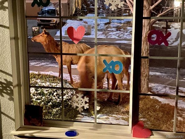 828 Rabbit Run Drive, Golden CO 80401