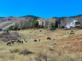 828 Rabbit Run Drive, Golden CO 80401