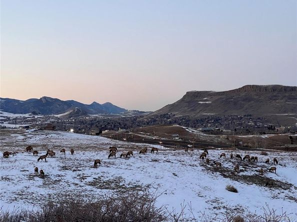 828 Rabbit Run Drive, Golden CO 80401