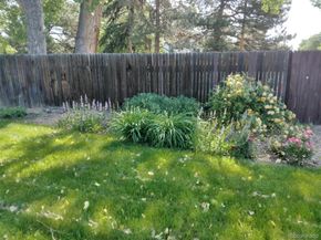 10610 W 78th Avenue, Arvada CO 80005