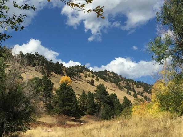 1502 Columbine Avenue, Boulder CO 80302