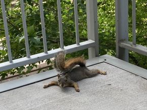 1401 Delgany Street 203, Denver CO 80202