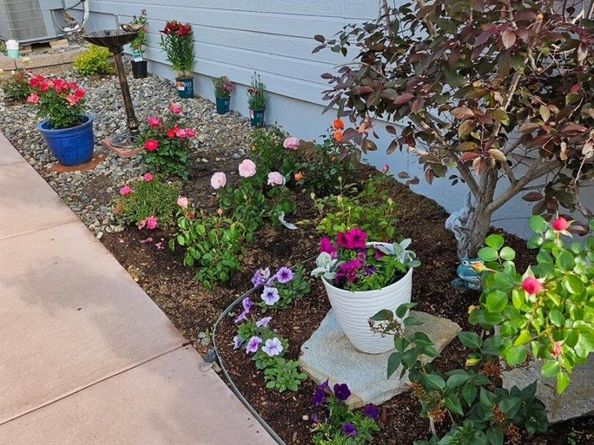 13648 Valentia Street, Thornton CO 80602