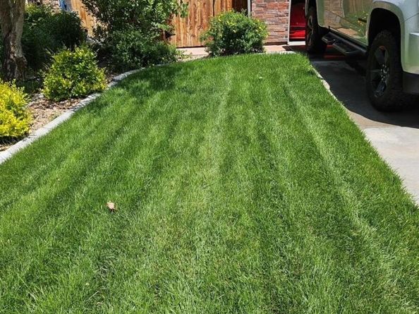 13648 Valentia Street, Thornton CO 80602