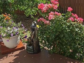 13648 Valentia Street, Thornton CO 80602