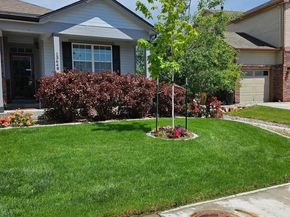13648 Valentia Street, Thornton CO 80602