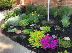 11703 Elk Head Range Road, Littleton CO 80127