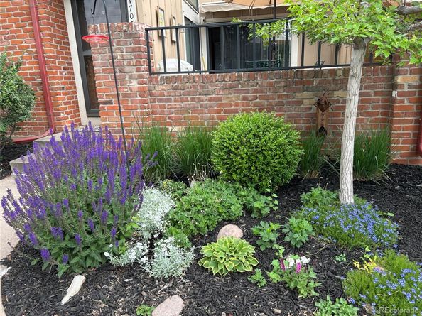 11703 Elk Head Range Road, Littleton CO 80127