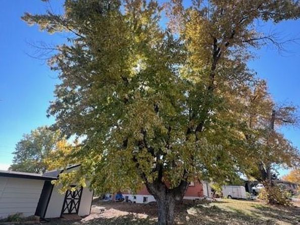 5874 W Alder Avenue, Littleton CO 80128