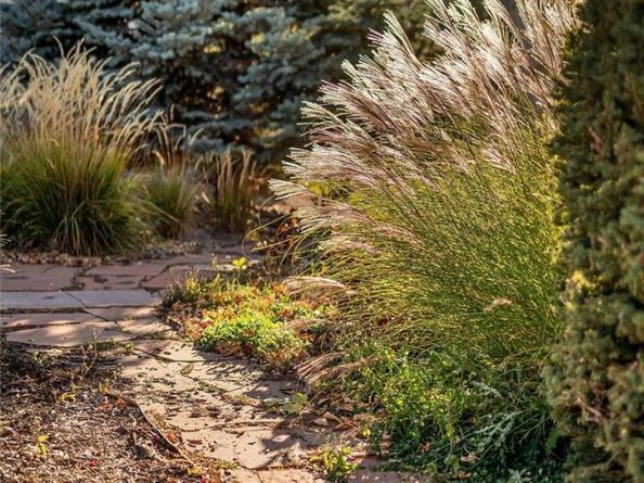 7665 E Eastman Avenue 212A, Denver CO 80231