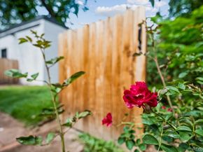 1359 Monroe Street, Denver CO 80206