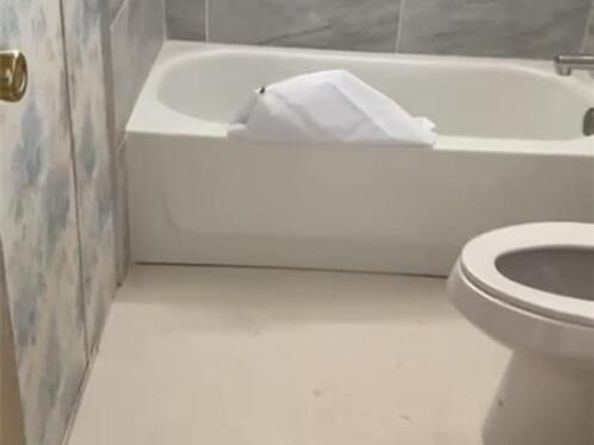 Undisclosed Address #5604673, Denver CO 80229