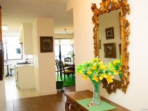 27110 grand central Parkway 19V, Floral Park NY 11005